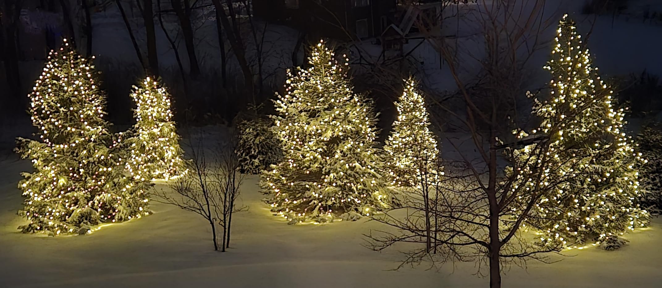 Dazzle Bright Outdoor Christmas String Lights, 1000 LED 328 FT Plug in Fairy Light with Remote Control 8 Modes & Timer, Waterproof Decoration for Home Garden Yard Xmas Wedding, Multi-Colored customer photo 1