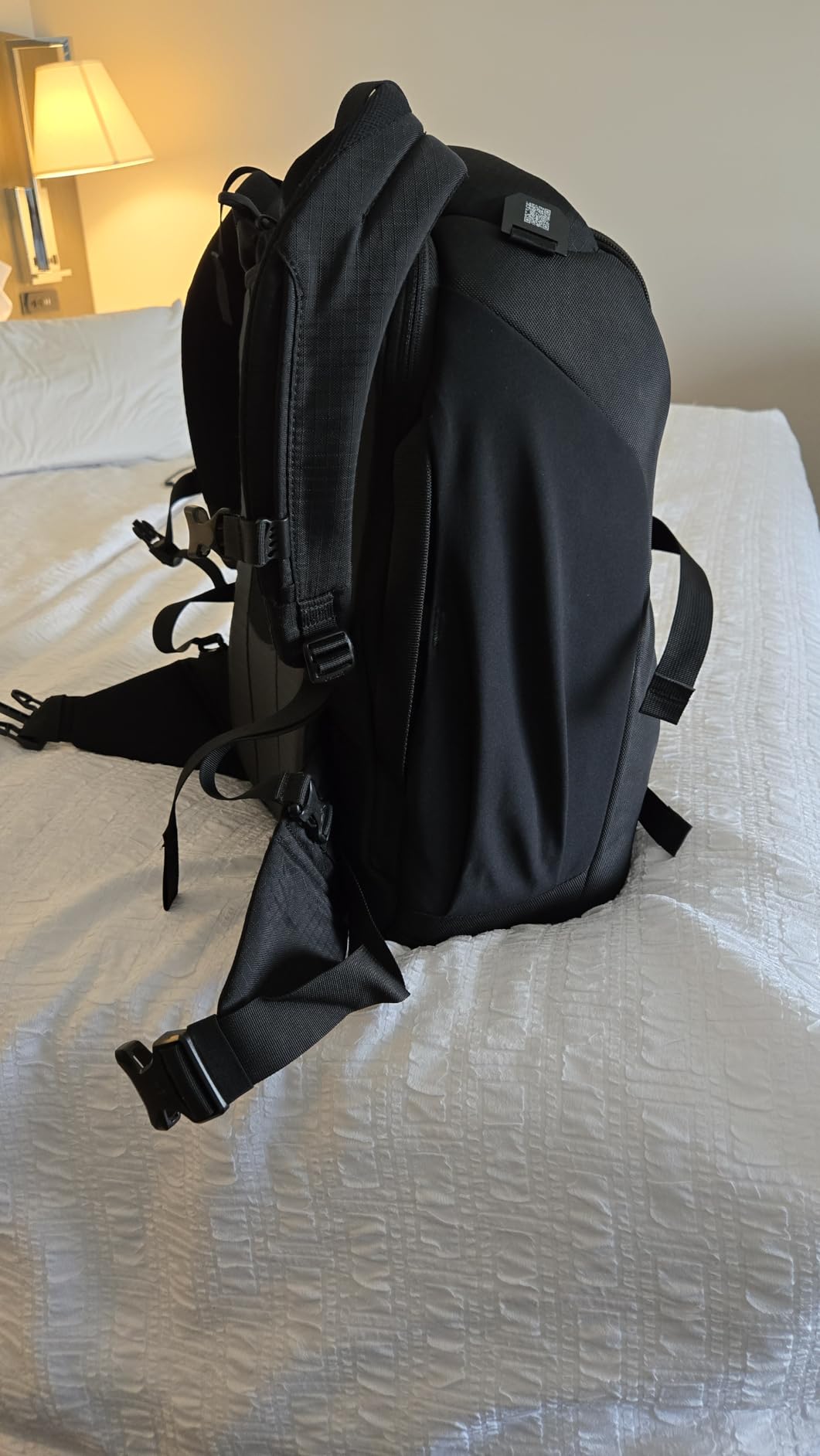 Sojourn Porter 46L Travel Backpack - Carry-On Compliant Luggage with StraightJacket Compression and Padded Laptop Sleeve - Durable Pack for International or Urban Travel, Koseret Green customer photo 2