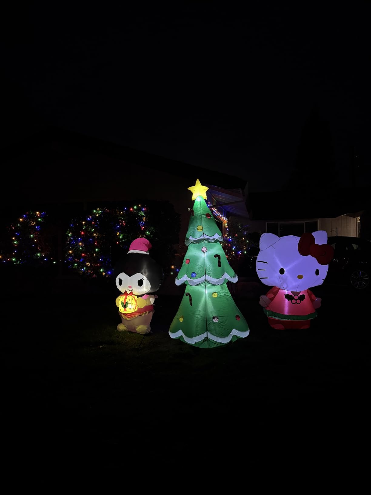10 FT Christmas Inflatable Santa Claus Outdoor Decorations, Blow Up Santa Claus Holding Gift Box for Xmas Outside Decor, Giant Santa with Bright LED Lights for Yard Patio Garden Lawn Holiday Party customer photo 1
