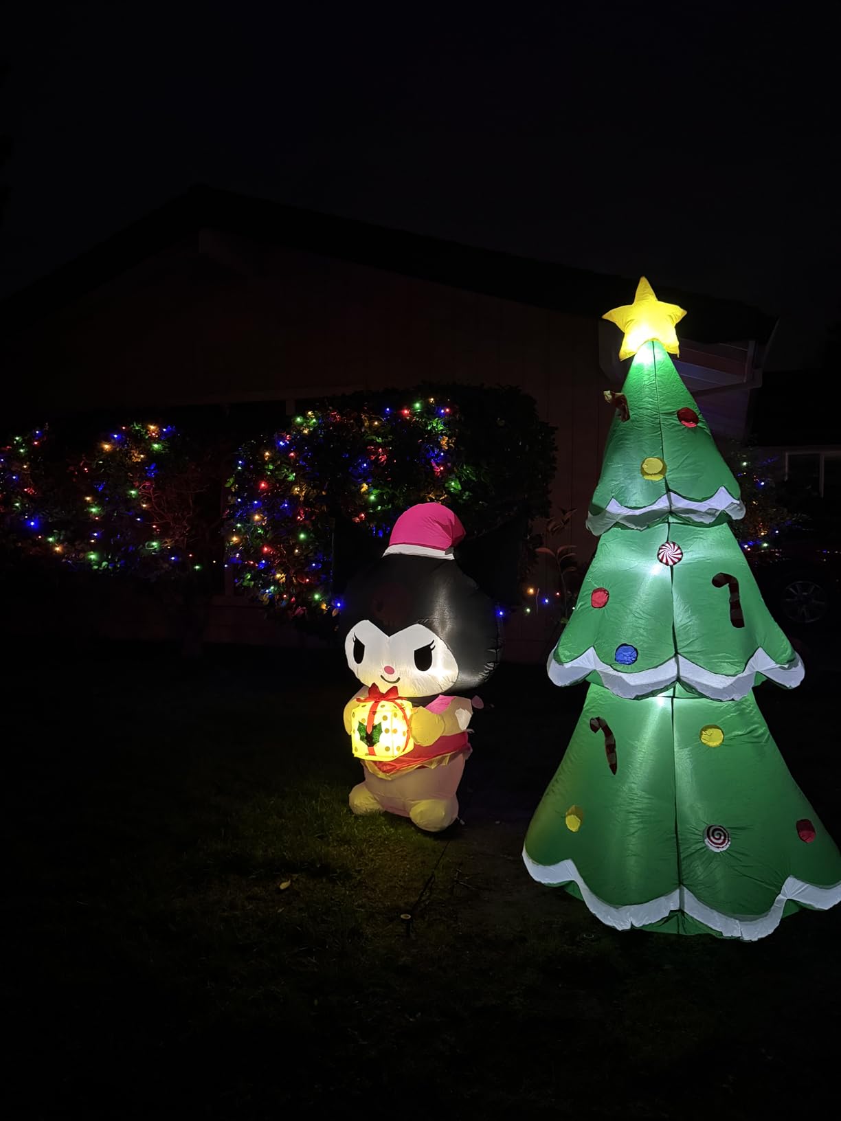 10 FT Christmas Inflatable Santa Claus Outdoor Decorations, Blow Up Santa Claus Holding Gift Box for Xmas Outside Decor, Giant Santa with Bright LED Lights for Yard Patio Garden Lawn Holiday Party customer photo 2