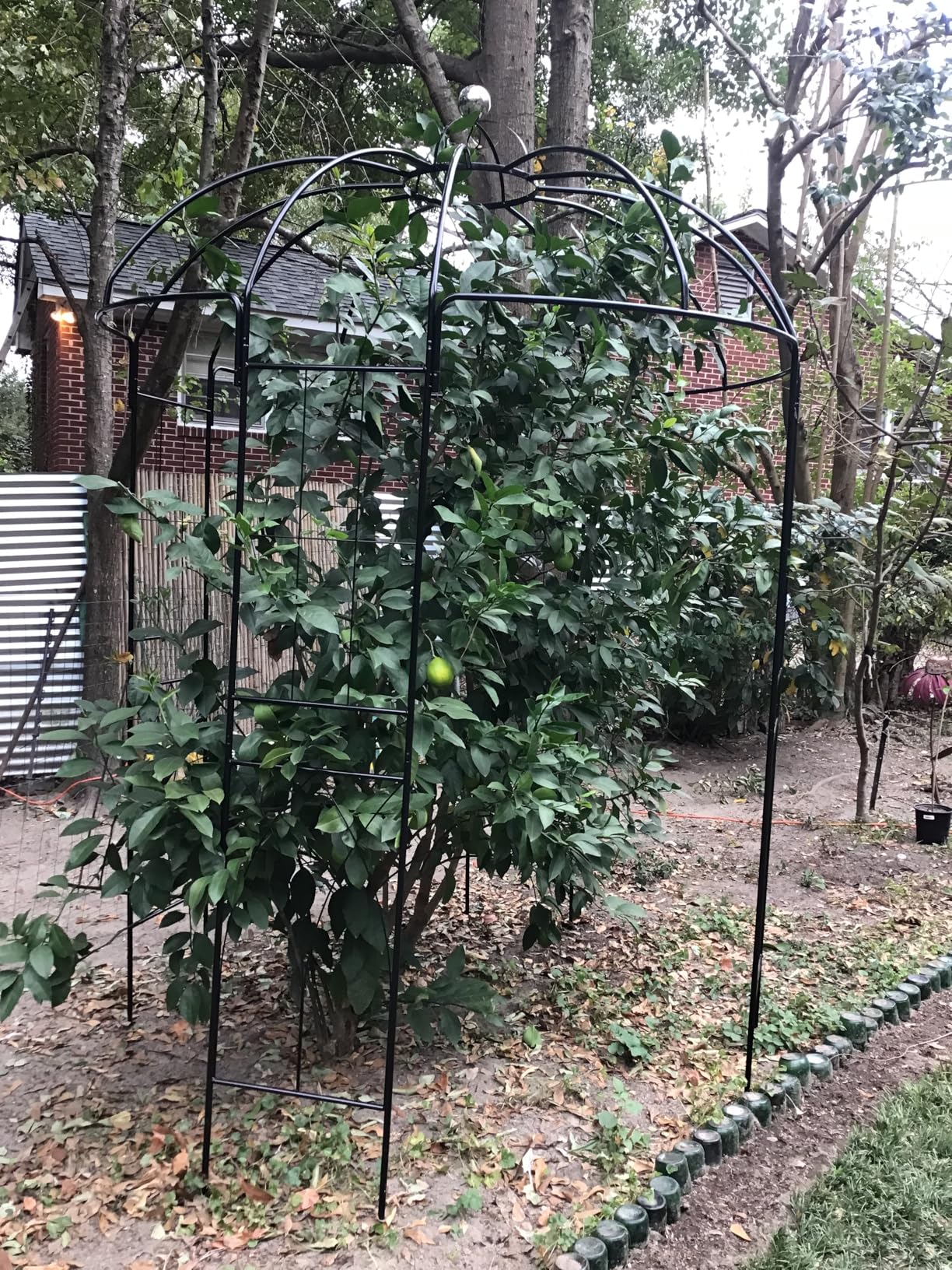 Outvita Garden Arch Arbor, Heavy Duty Metal Pergola Pavilion Trellis Birdcage Gazebo French Style 9ftx6.8ft Plants Support Use for Outdoor Climbing Plants Patio Decoration Wedding Arches Ceremony customer photo 2