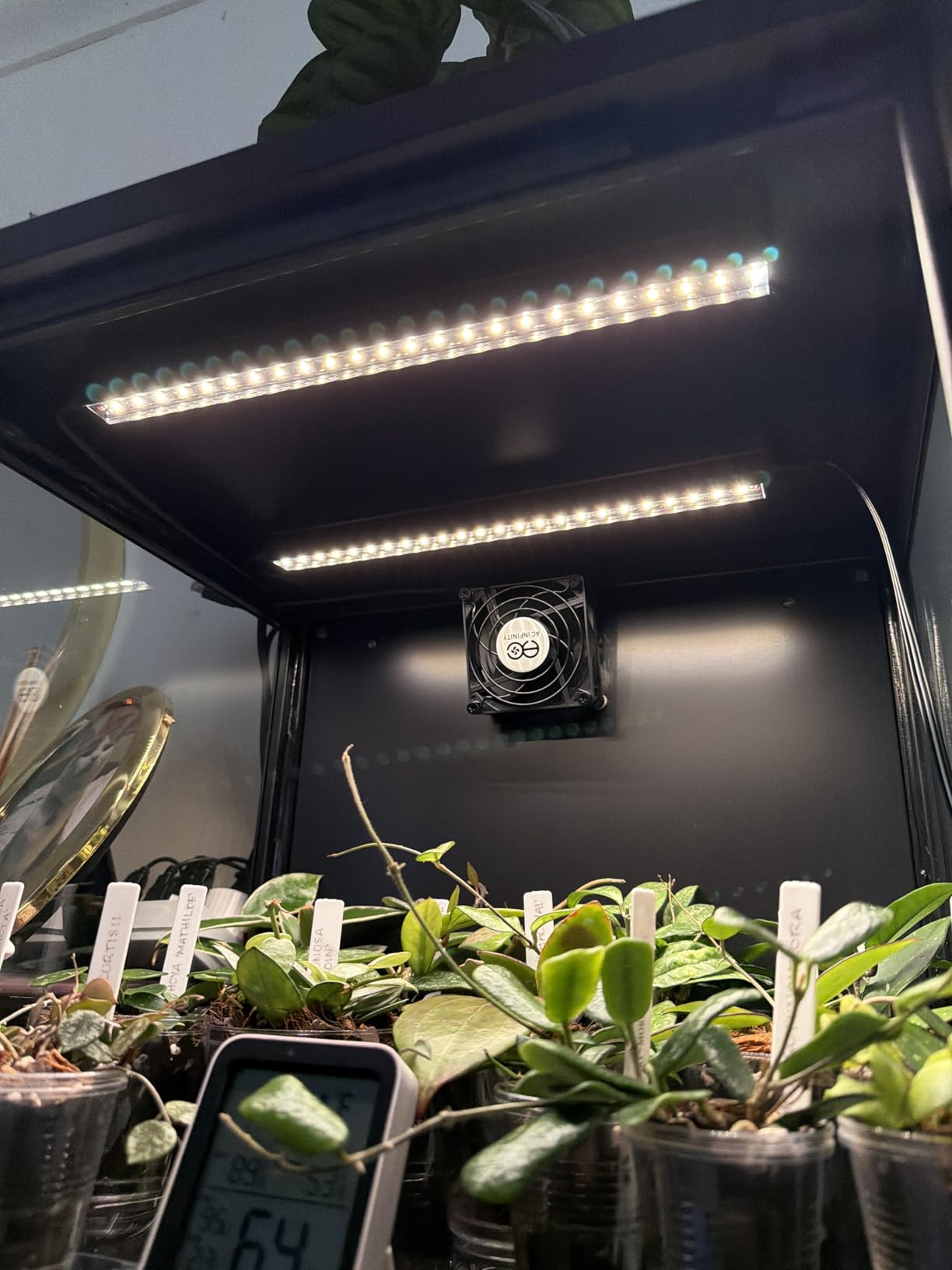 Barrina T5 Grow Lights for Indoor Plants Full Spectrum 1ft LED Plant Light 4 Packs customer photo 2