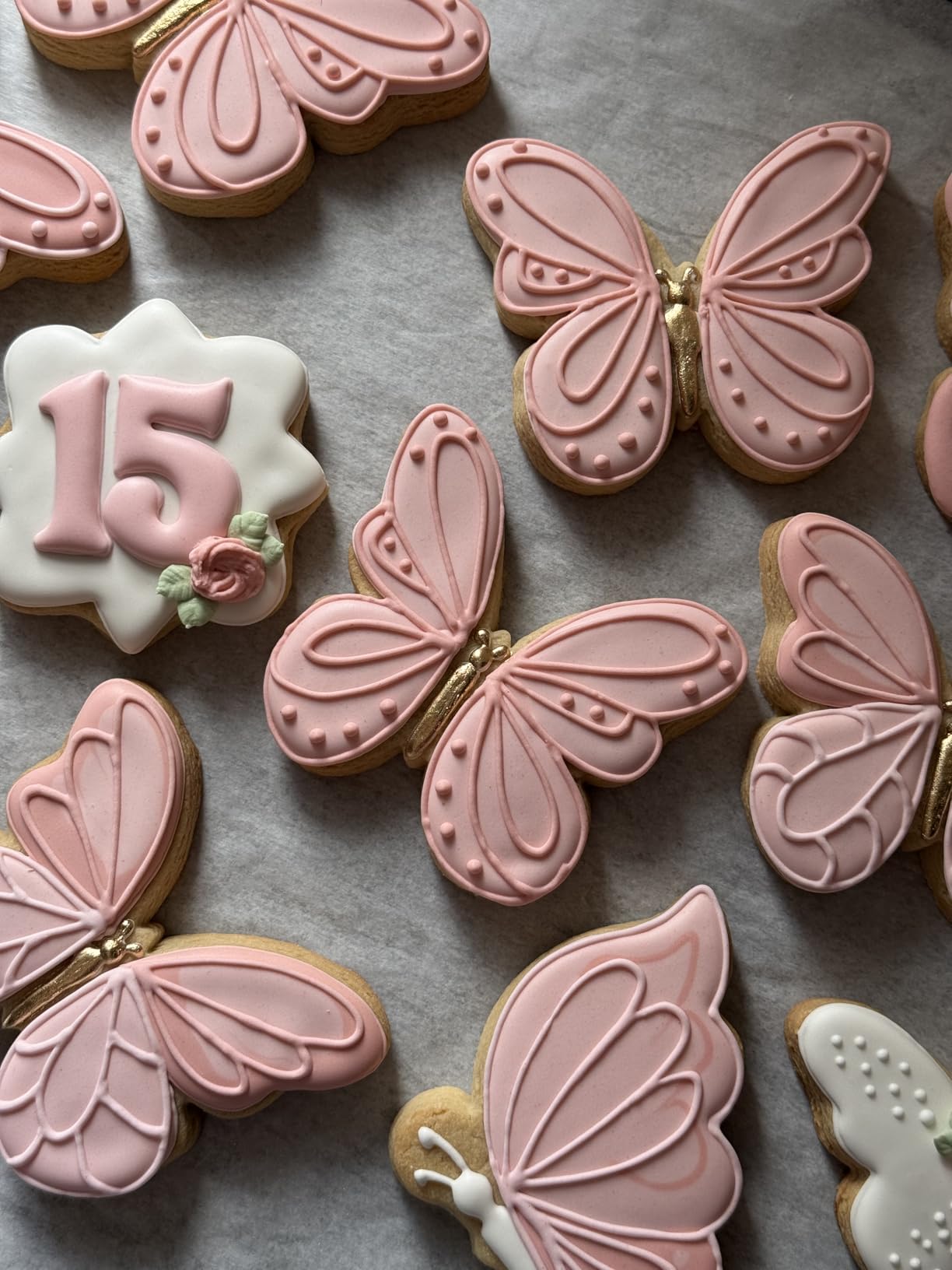 COSORI Food Dehydrator for Jerky, 176°F Temperature Control, 5 Stainless Steel Trays Dryer Machine, 4 Presets, 48H Timer, for Dog Treats, Meat, Fruit, Veggies, Snacks, Bright-Silver customer photo 1