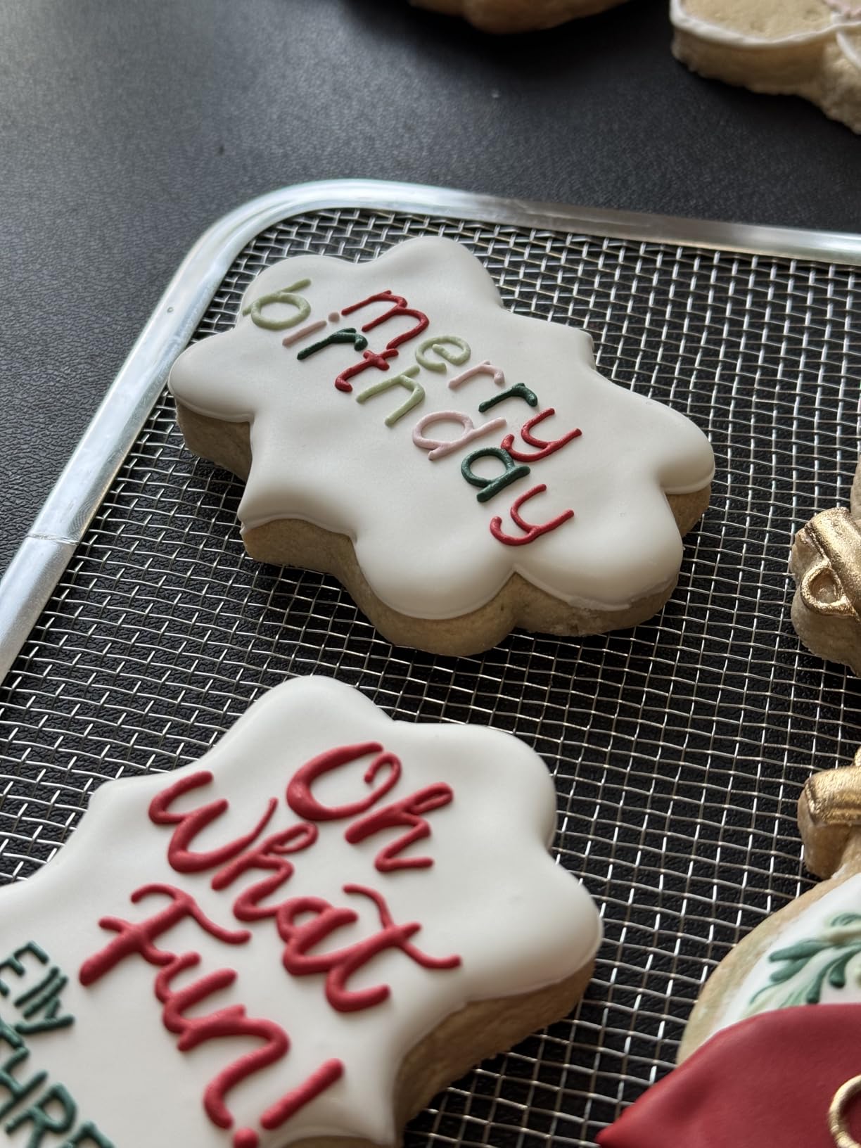 COSORI Food Dehydrator for Jerky, 176°F Temperature Control, 5 Stainless Steel Trays Dryer Machine, 4 Presets, 48H Timer, for Dog Treats, Meat, Fruit, Veggies, Snacks, Bright-Silver customer photo 2