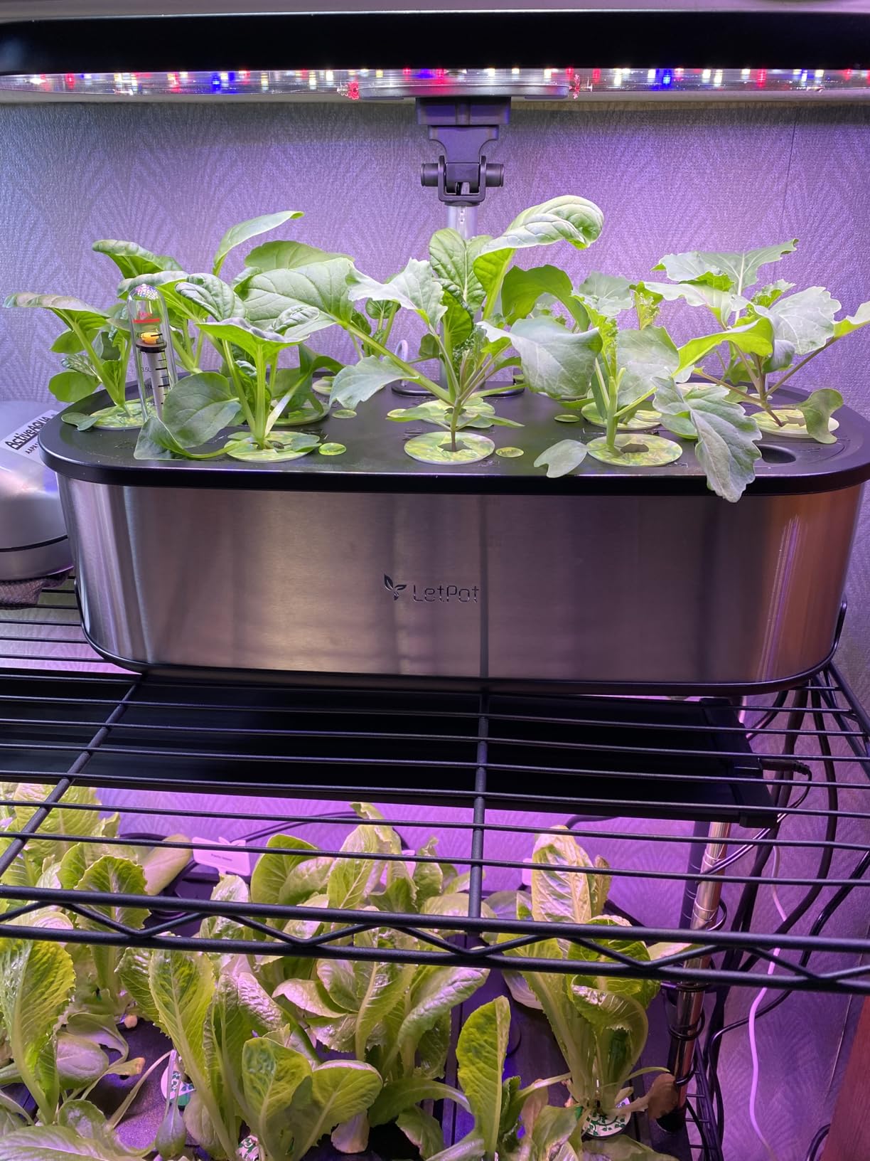 LetPot LPH-Max Hydroponics Growing System Kit, 21 Pods APP & WiFi Automatic Controlled Smart Indoor Garden with 36W LED Grow Light, Auto Drip Irrigation Kits, Self-Managed Nurturing & Watering customer photo 1
