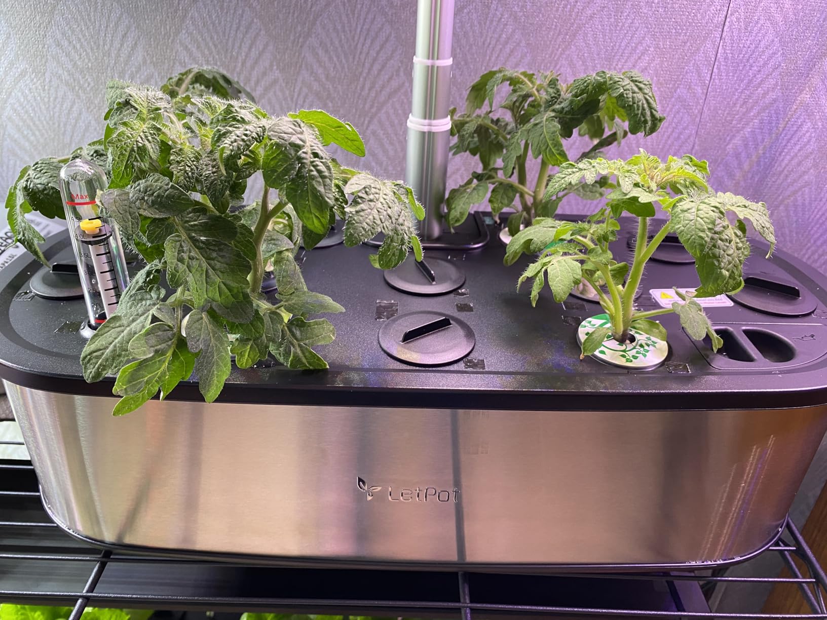 LetPot LPH-Max Hydroponics Growing System Kit, 21 Pods APP & WiFi Automatic Controlled Smart Indoor Garden with 36W LED Grow Light, Auto Drip Irrigation Kits, Self-Managed Nurturing & Watering customer photo 2