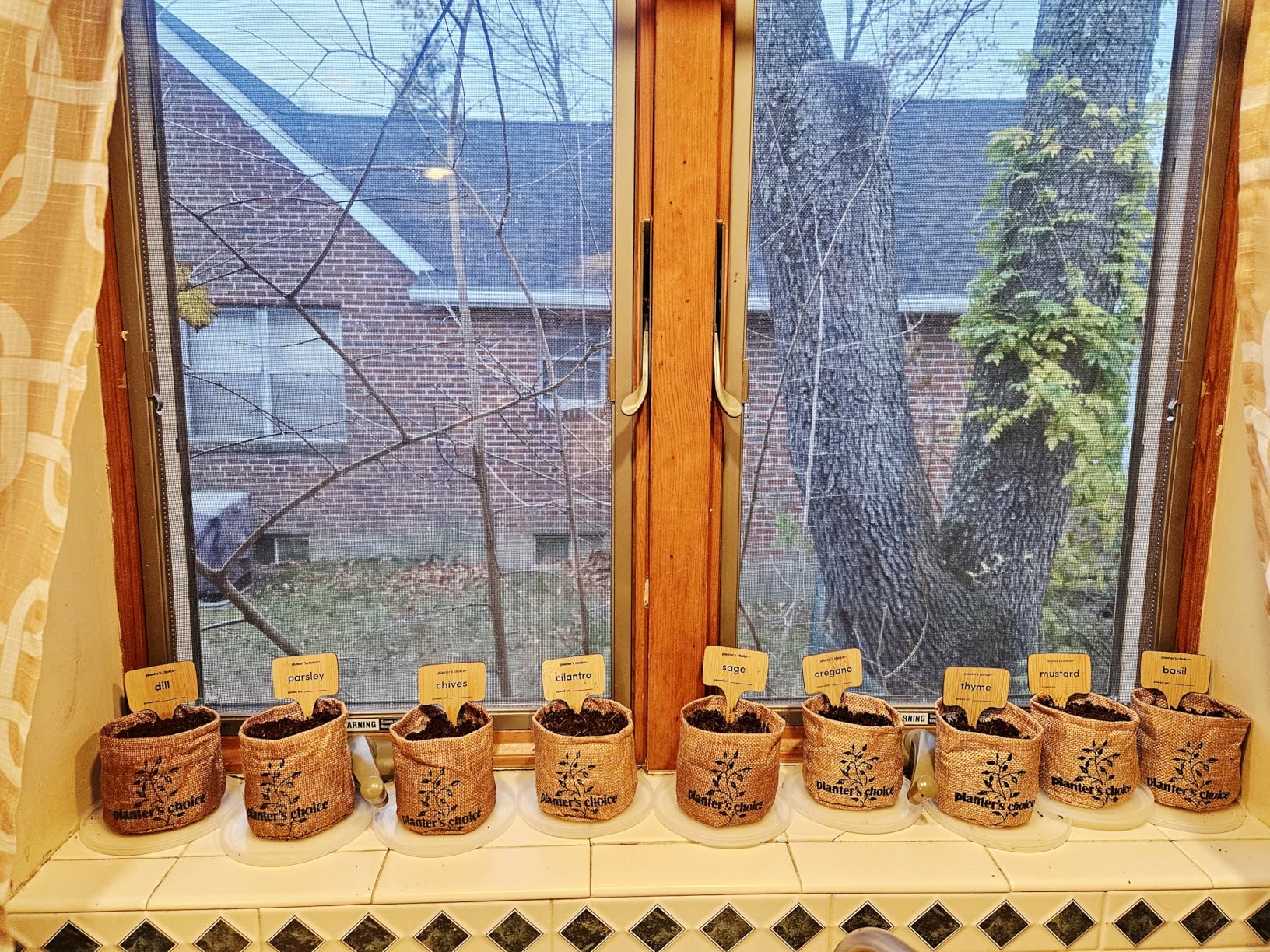 Planters' Choice 9 Herb Indoor Window Garden Kit - House Plants Seeds - Best Unique Easter Gift Ideas for Women, Mom, Friend, Her, Birthday, Housewarming, Mother customer photo 1