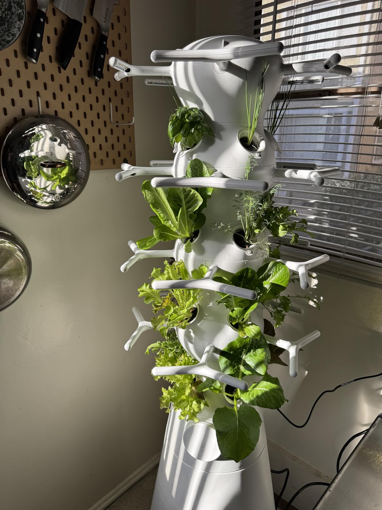 Lettuce Grow Farmstand Nook 4ft.7