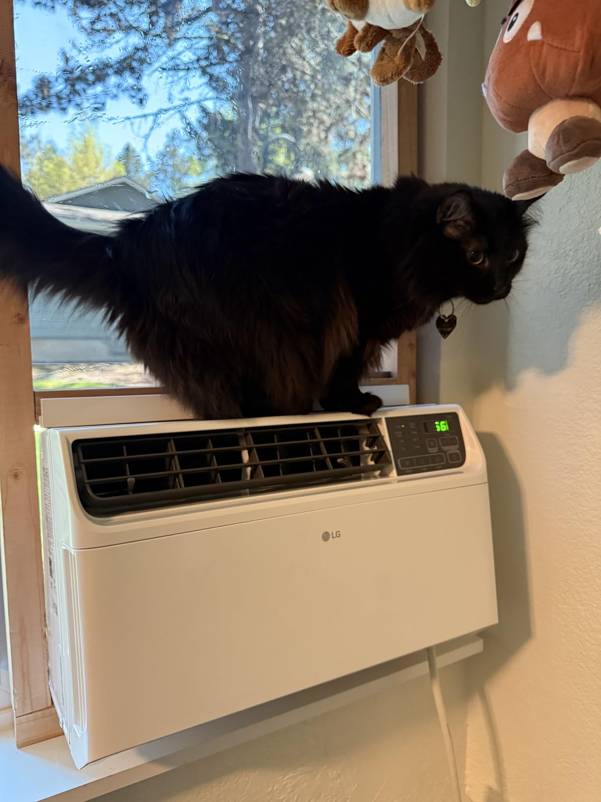 LG 6000 BTU Window Air Conditioner Energy Saving Dual Inverter, Remote Control, WiFi, LG ThinQ, Alexa, Hey Google Enabled Washable Filter Ultra-Quiet Cools Small Room up to 250 Sq.Ft White LW6023IVSM customer photo 2