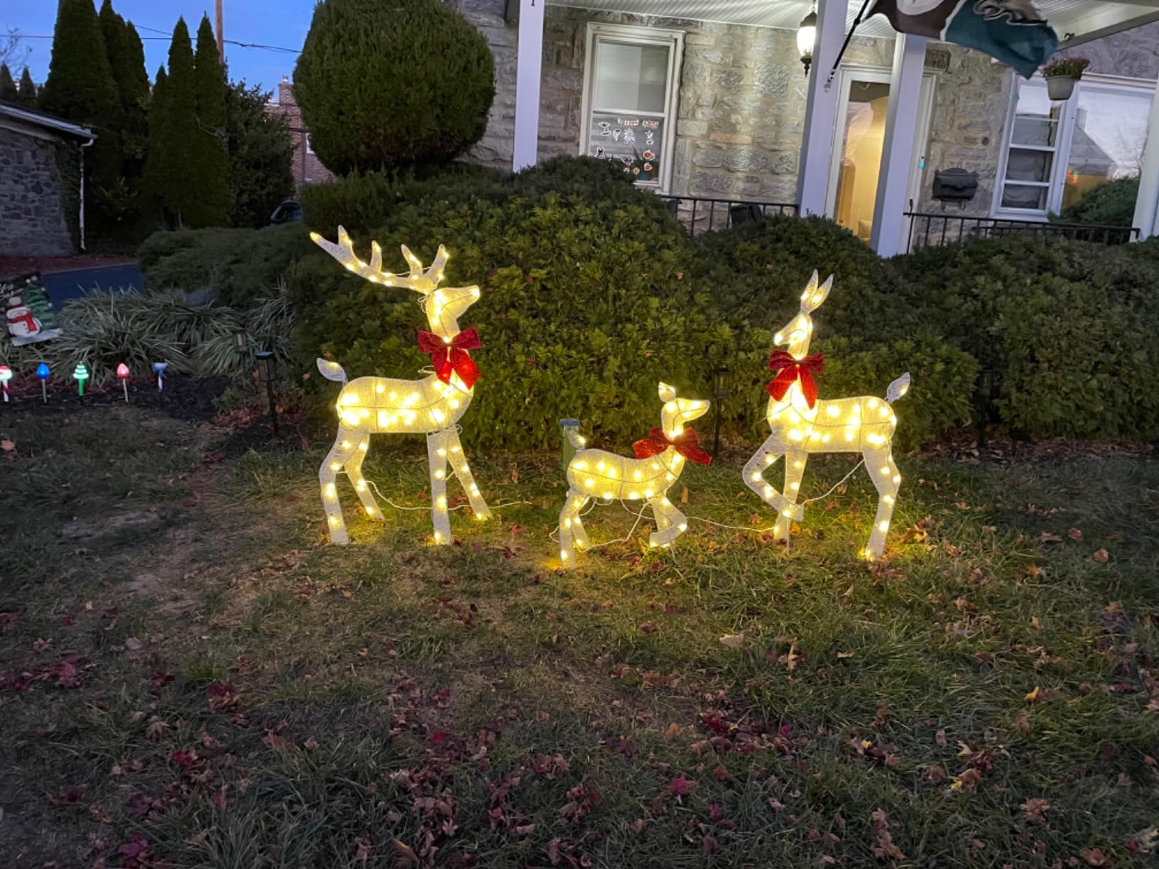 Best Choice Products 4ft 3-Piece 2D Lighted Christmas Deer Family Set, Large Outdoor Yard Reindeer Holiday Decoration with 175 LED Lights, Stakes, Zip Ties - Gold customer photo 2