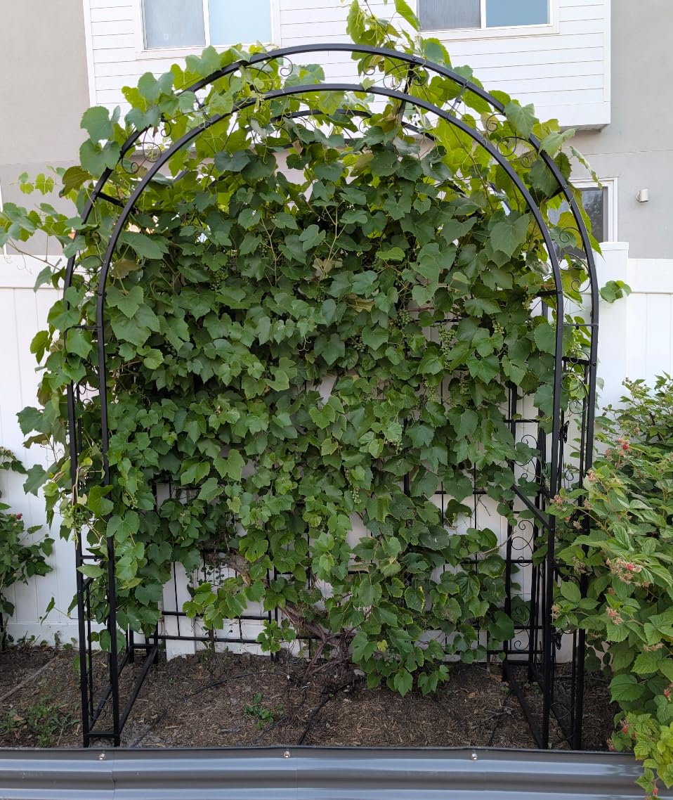 VINGLI Garden Arbor, Arch Archway for Wedding Ceremony Party, Steel Garden Trellis for Plant Climbing, Christmas Garden Decorations Pergola for Garden, Backyard, Lawn (Black, 52.2x22.8x83.9in) customer photo 1