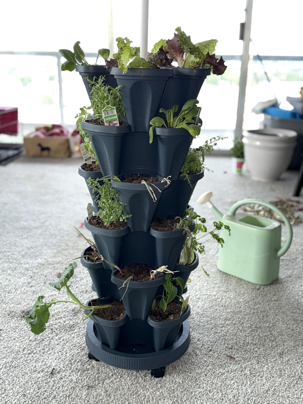 Hourleey Strawberry Planter, Stackable Gaden Tower for Flowers, Vegetables, Grow Your Own Herb Garden Vertical Oasis of Vegetables and Succulents (2 Pack 5 Tier) customer photo 2