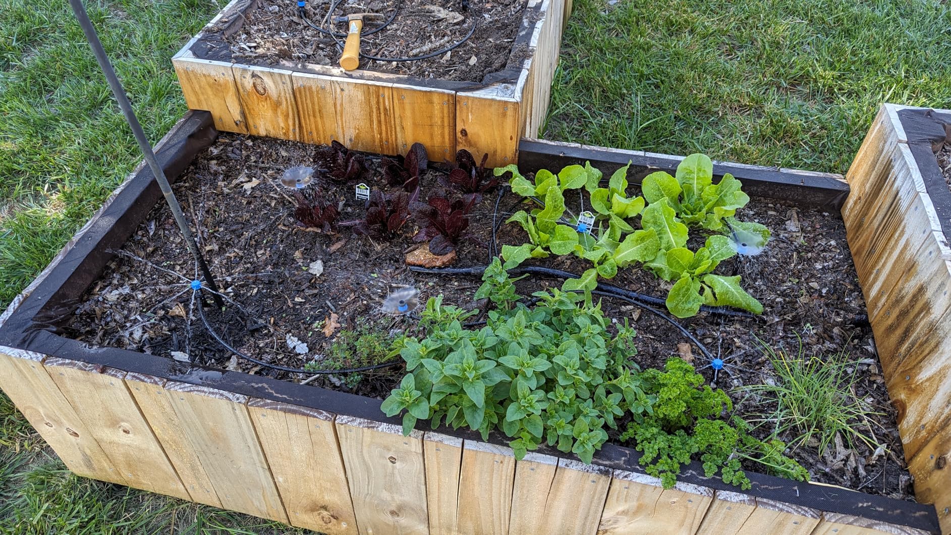 MIXC 230FT Quick-Connect Drip Irrigation System Kit customer photo 2