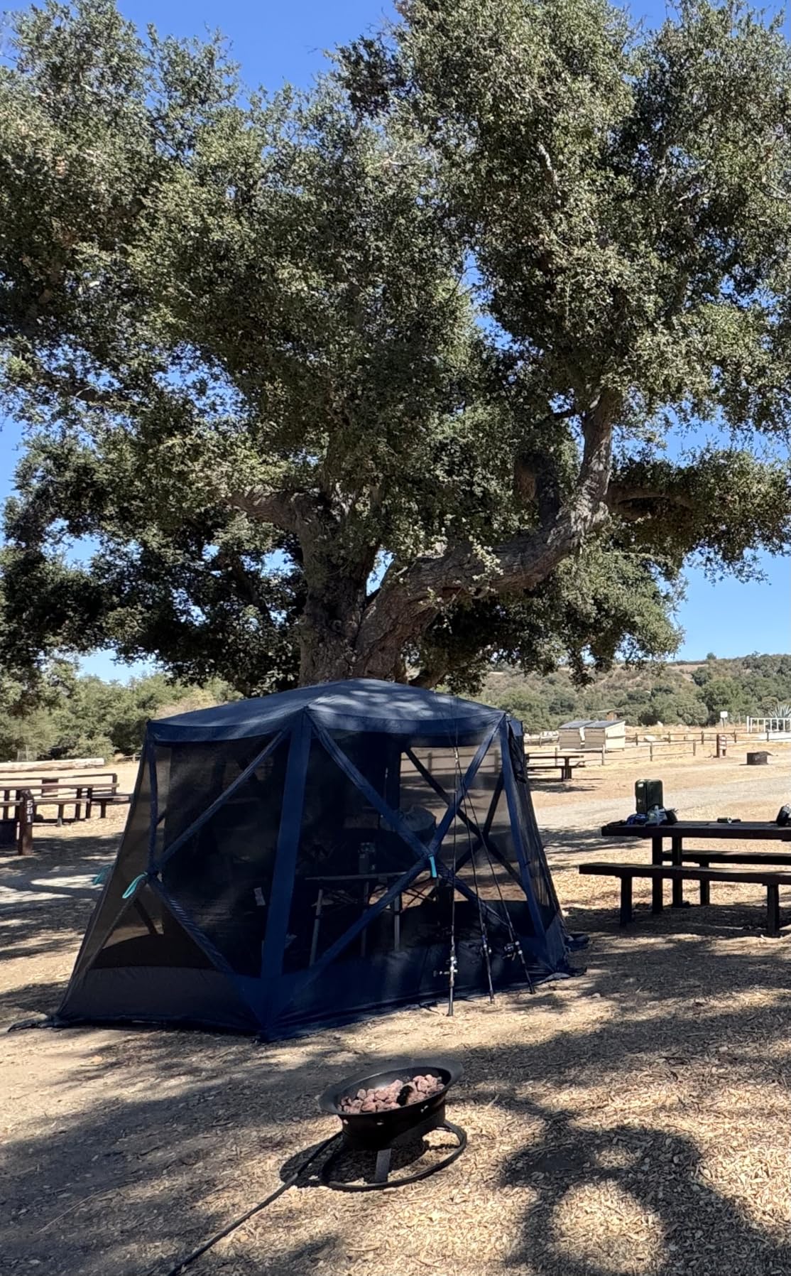 TIMBER RIDGE Easy Pop Up Gazebo Canopy Tent for Camping, 11.5 X 9.8 Ft Portable Instant Screened House, Pop Up Canopy with Netting for Backyard, Patio, Outdoor, Tailgating, Picnics, Blue customer photo 1