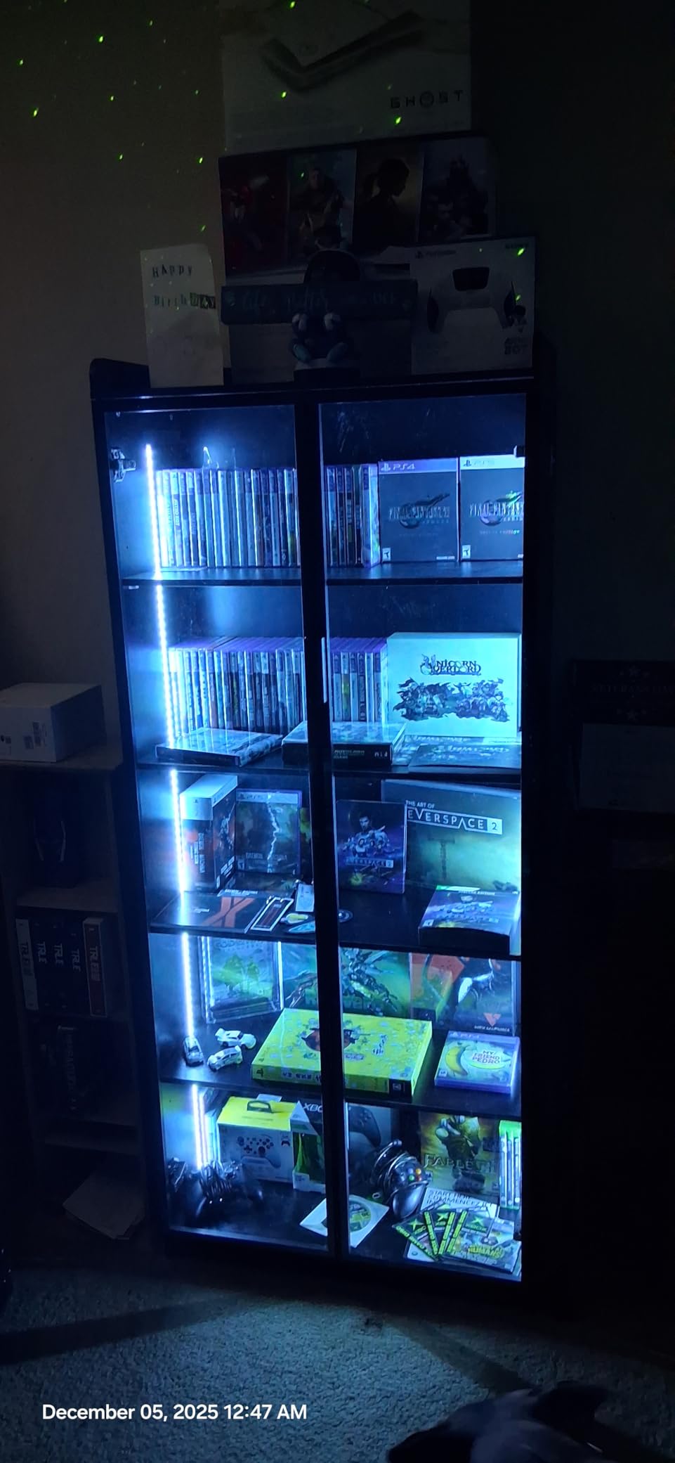 Display Cabinet with Doors and Adjustable Shelves, 65