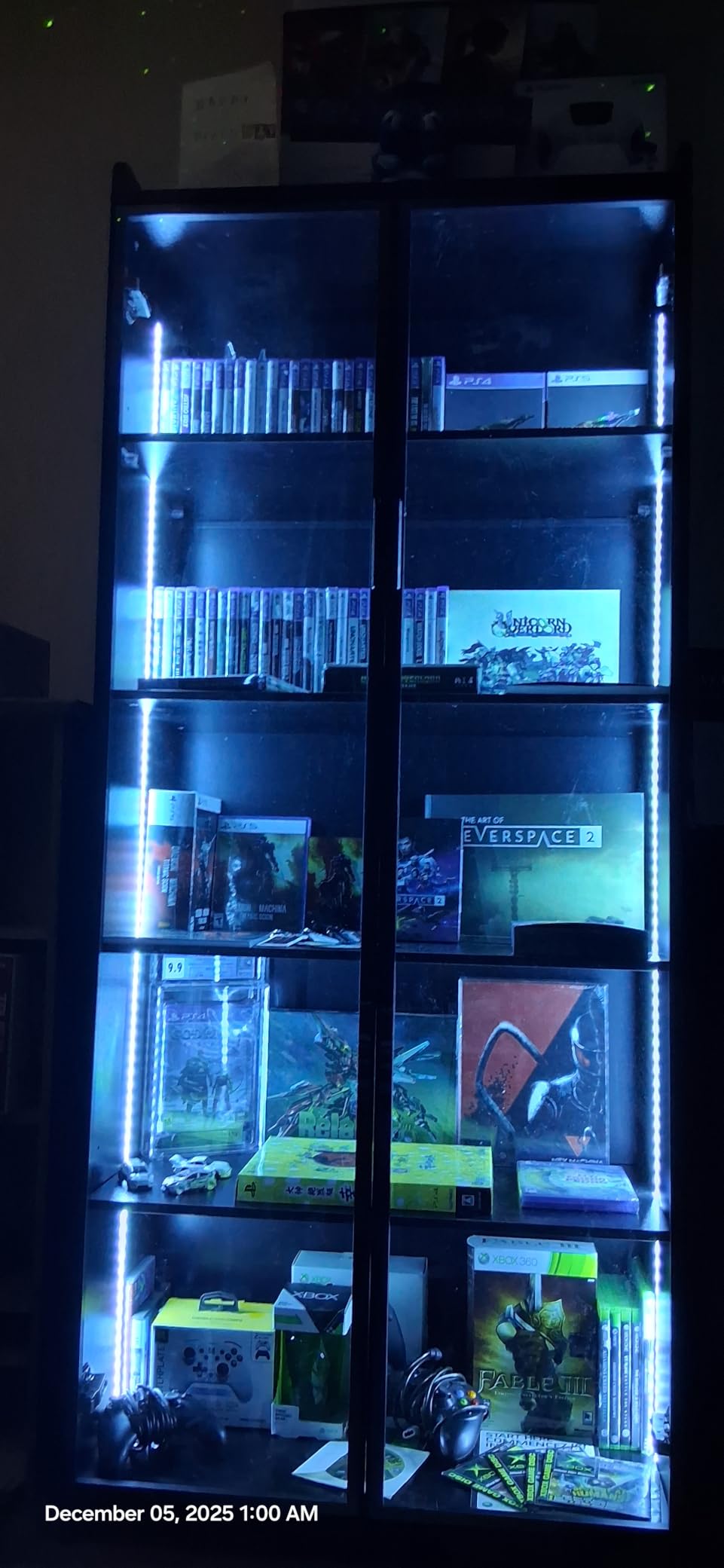 Display Cabinet with Doors and Adjustable Shelves, 65