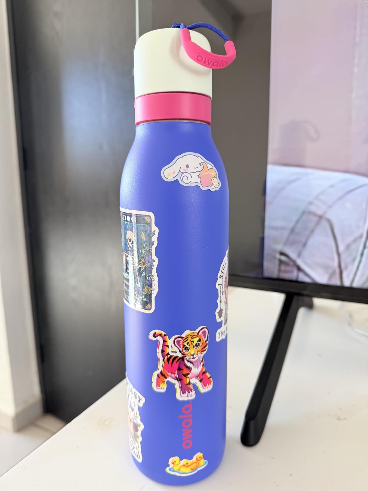 FreeSip Twist Insulated Stainless Steel Water Bottle with Straw for Sports and Travel, BPA-Free, 24-oz, Pink/Purple (Dreamy Field) customer photo 1