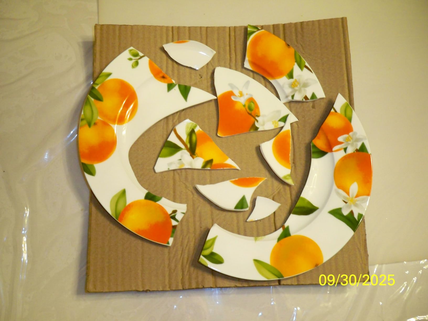 Mikasa Quinn Lightweight Bone China 12 Piece Dinnerware Plate Bowl Set, Service for 4 customer photo 2