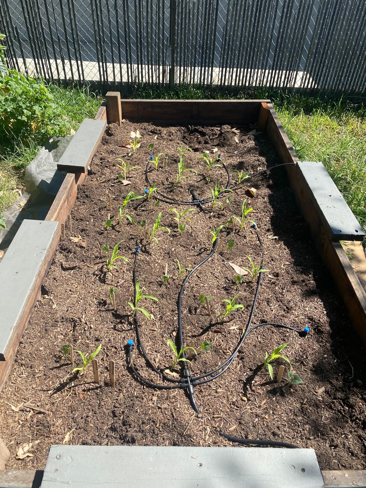 Bonviee Drip Irrigation System 230FT - Quick Connect Garden Watering Kit customer photo 1