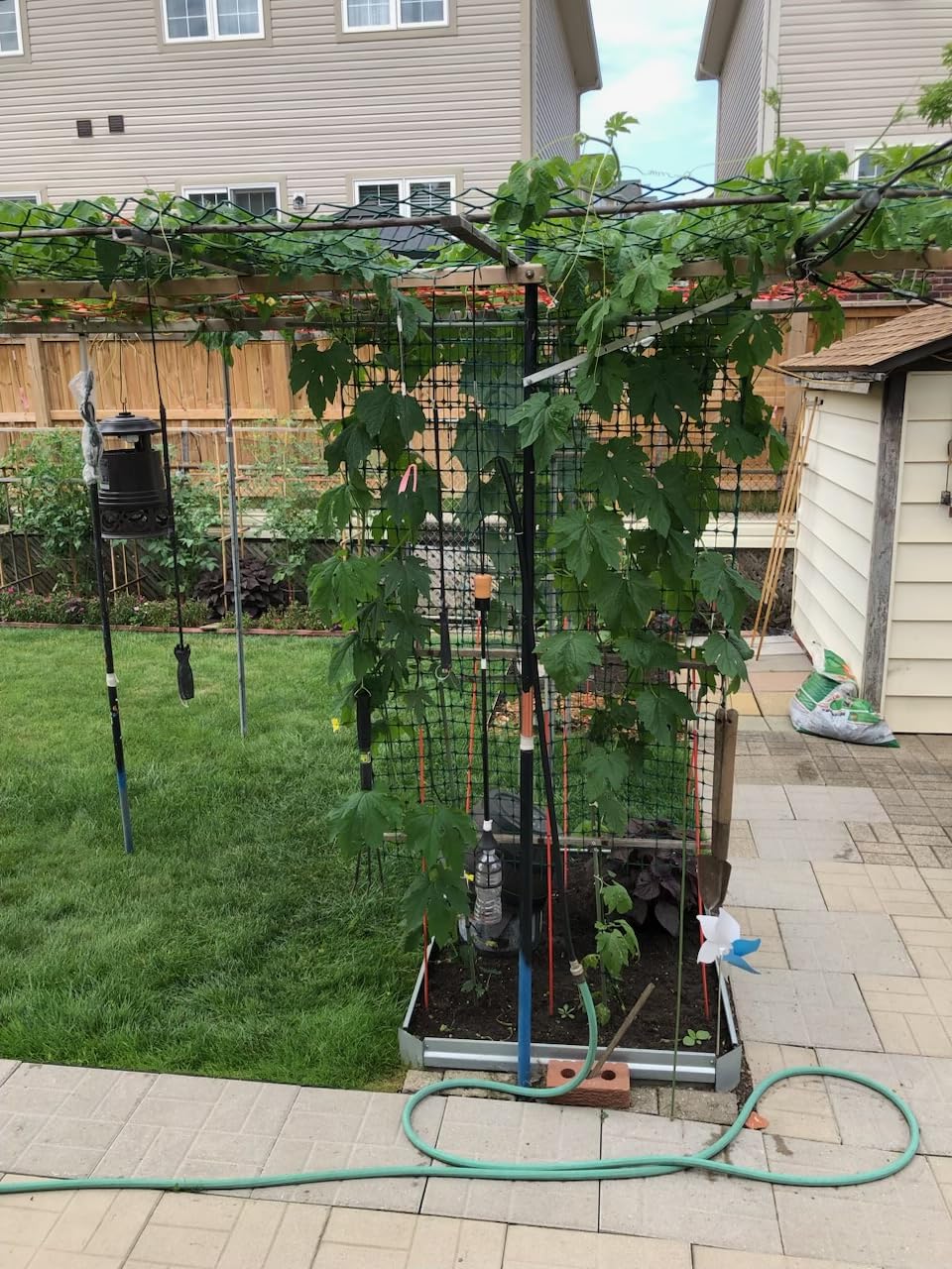 Bonviee Drip Irrigation System 230FT - Quick Connect Garden Watering Kit customer photo 2