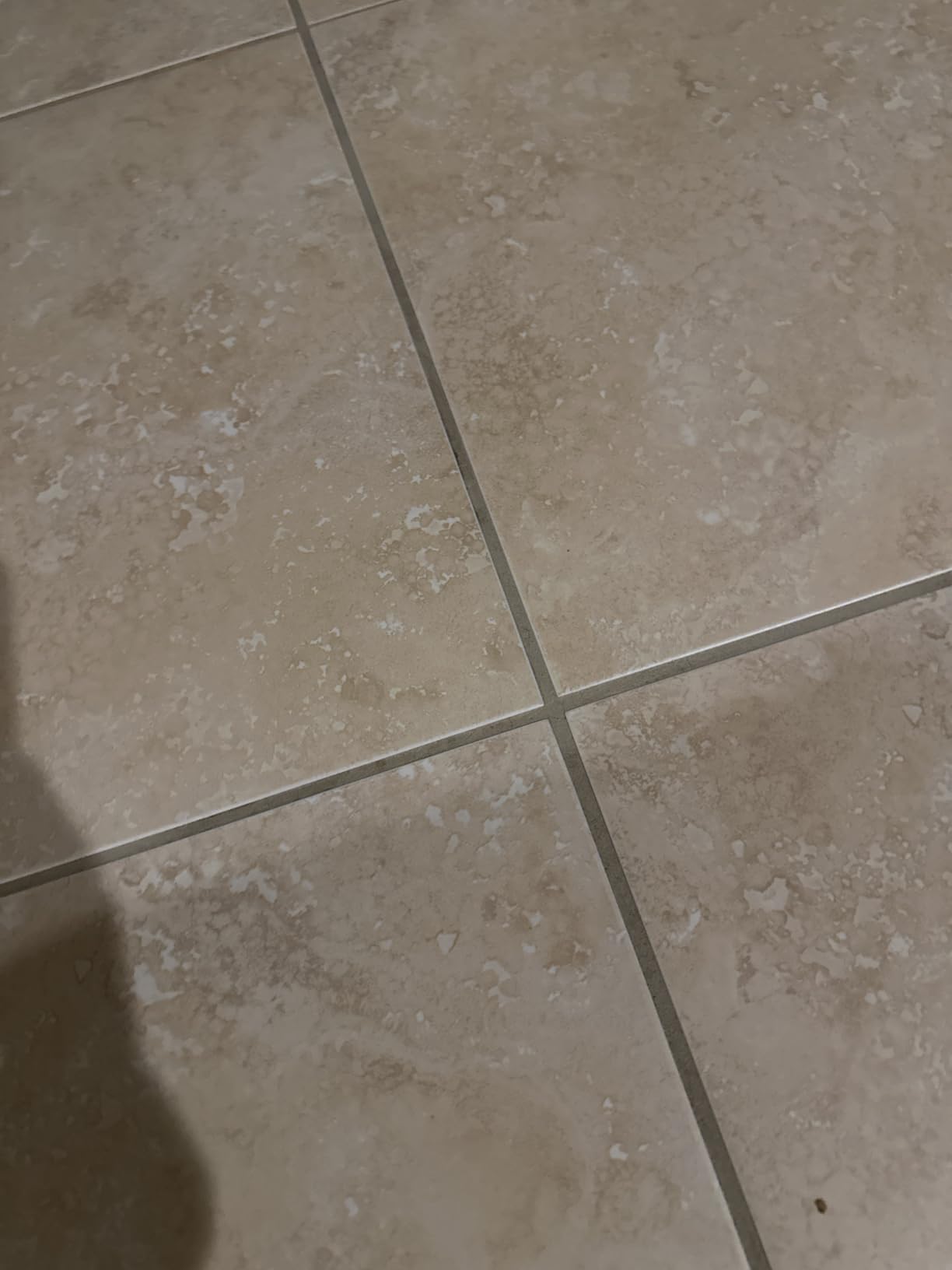 Dupray Neat Steam Cleaner, Multipurpose Steamer for Floors, Grout & Upholstery, Chemical-Free Cleaning, Long Run Time, 40-Piece Accessory Kit *Kills 99.9% of Bacteria & Viruses customer photo 2