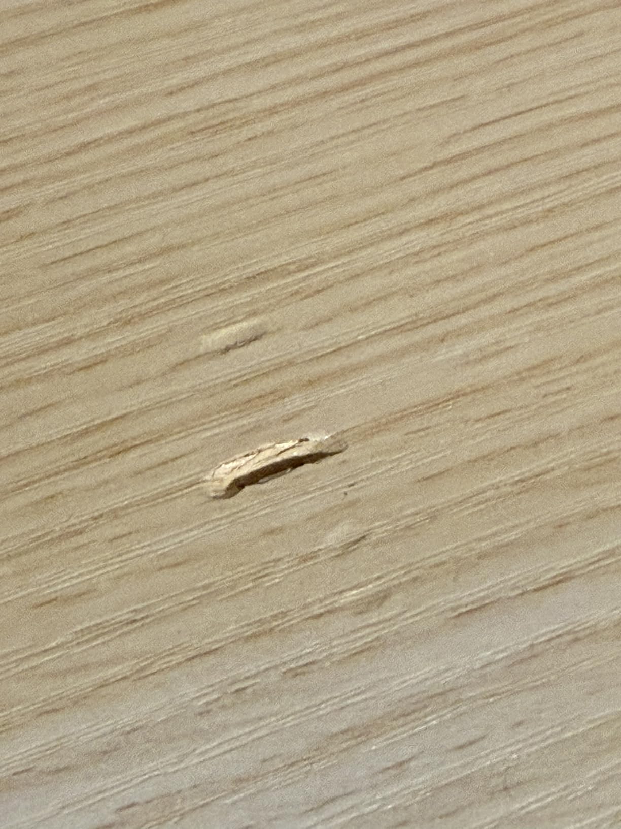 Huuger 55 x 28 Large Electric Standing Desk, Height Adjustable Computer Desk, 27.6