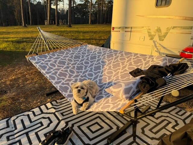Double Hammock with Stand, Heavy Duty Outdoor Hammock for Two, 500 LBS Capacity, Stable Steel Frame with Balance Strap, Easy Tool-Free Assembly for Patio, Garden, Backyard & Beach, White Grey customer photo 1