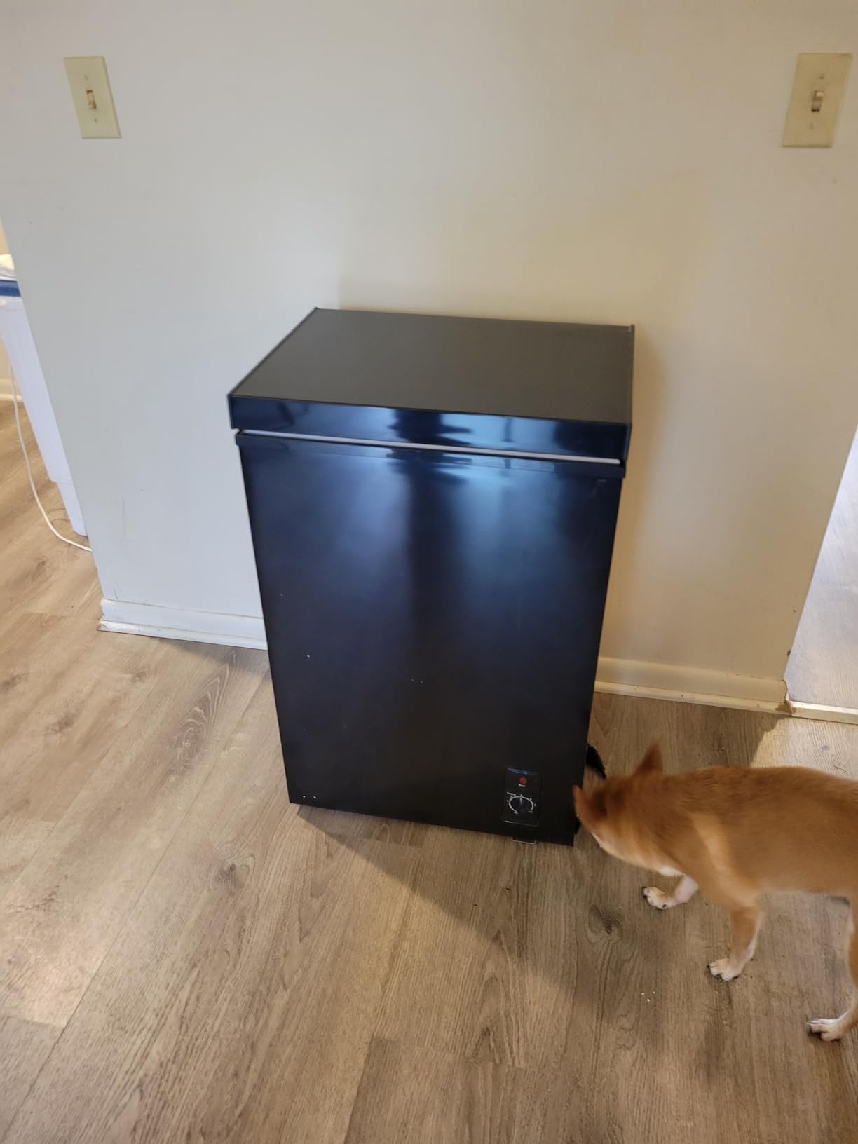 Bodacious Ultra Quiet Deep Freezer - 5.0 Cu Ft, Compact Design, Fast Freeze, Low Power Consumption, Ideal for Home, Restaurant & Small Shops customer photo 1