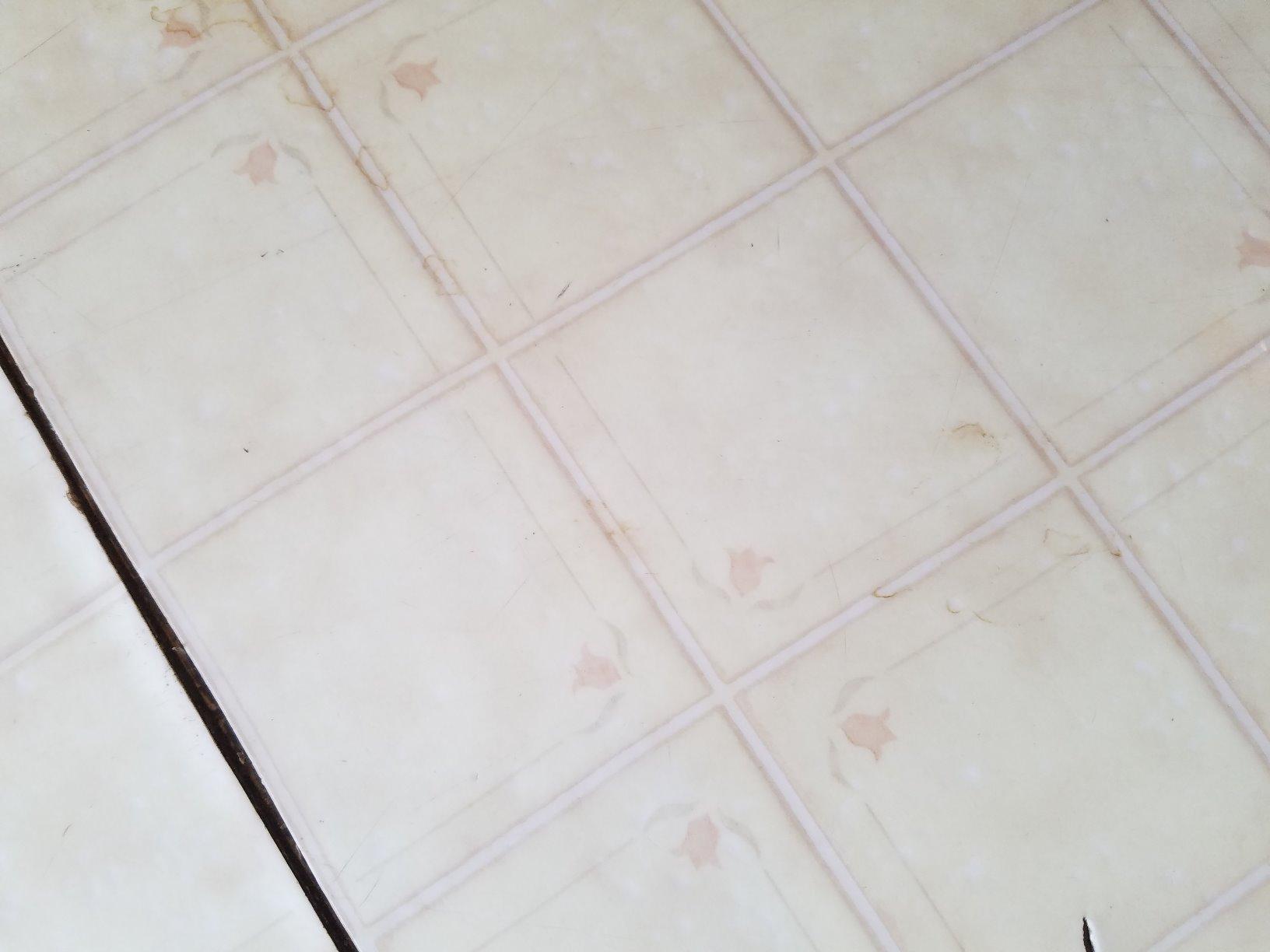 roborock Q7 M5+ Robot Vacuum and Mop, Upgraded from Q5 Max+, Up to 7-9 Weeks Self-Empty, 10000Pa Suction, Dual Anti-Tangle System for Pet Hair & Carpet, PreciSense LiDAR Navigation, App Control, White customer photo 2