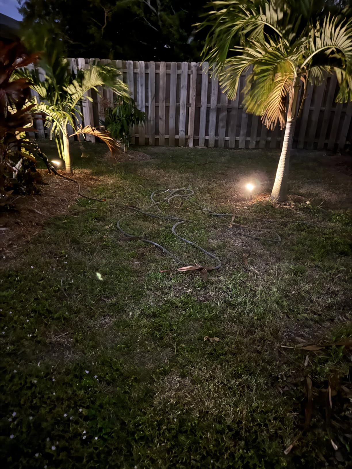 NYMPHY Solar Color Changing Lights, 7 Lighting Modes Solar Lights Outdoor Waterproof IP68, Multicolor RGB Outdoor Lights for Garden Yard Landscape Decorations- 4 Pack customer photo 1