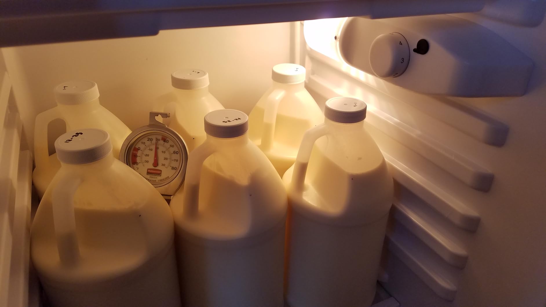 EUHOMY 7.4 Cu.Ft. Refrigerator with Freezer, 2 Door Fridge, Large Capacity,Adjustable Thermostat, Refrigerator for Kitchen/Dorm/Apartment/Garage - Food Storage or Cooling drinks, Silver customer photo 1