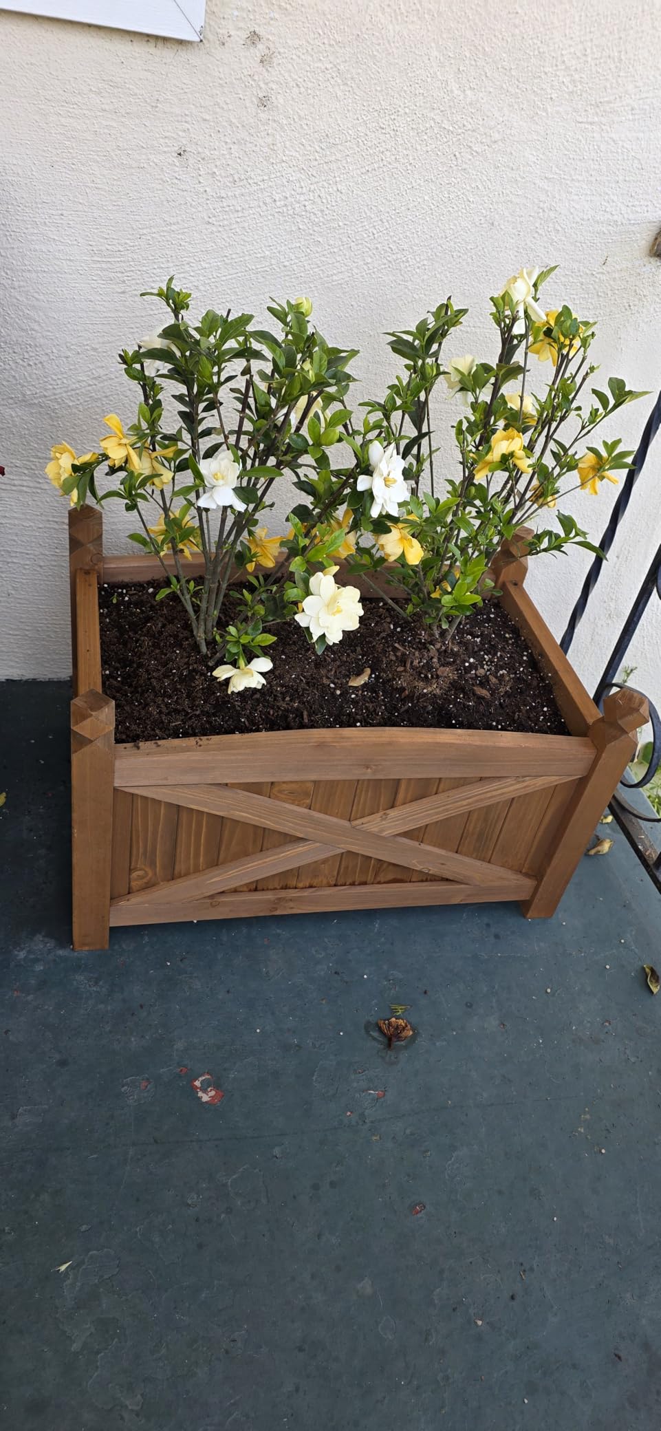 HAPPYGRILL Wooden Raised Garden Bed, 2 Solid Wood Gardening Plant Container w/Drainage Holes for Flower Vegetable Fruit, Outdoor Elevated Planter Box for Patio Garden Yard Balcony (36