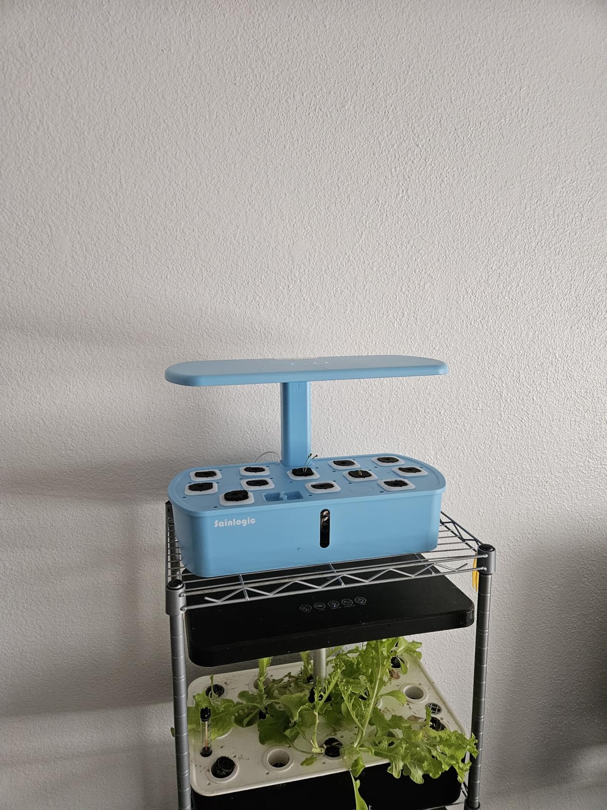 Sainlogic Hydroponics Growing System Kit, 12 Pods Watering Planter, Smart Indoor Garden with APP & WiFi Connected, 5 X Growth with 24W LED, Quiet Pump, for Vegetables, Herbs and Flowers customer photo 1