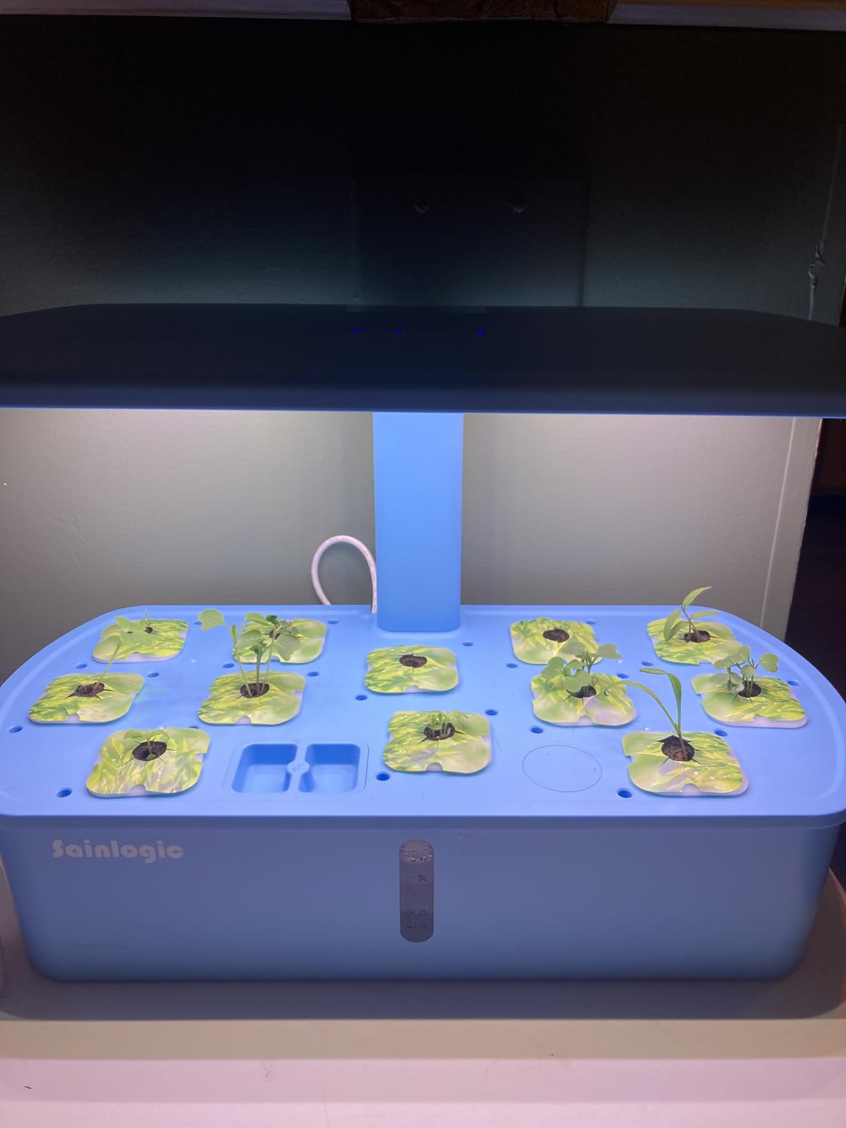 Sainlogic Hydroponics Growing System Kit, 12 Pods Watering Planter, Smart Indoor Garden with APP & WiFi Connected, 5 X Growth with 24W LED, Quiet Pump, for Vegetables, Herbs and Flowers customer photo 2