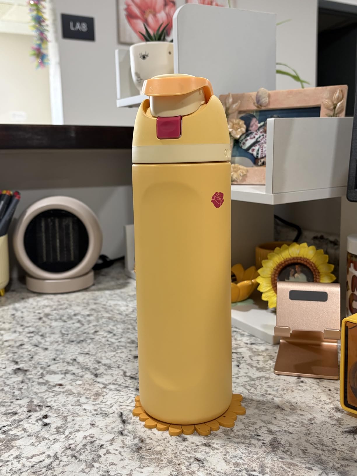 Disney Princess FreeSip Insulated Stainless Steel Water Bottle with Straw for Sports and Travel, BPA-Free Sports Water Bottle, 24 oz, Rapunzel customer photo 1