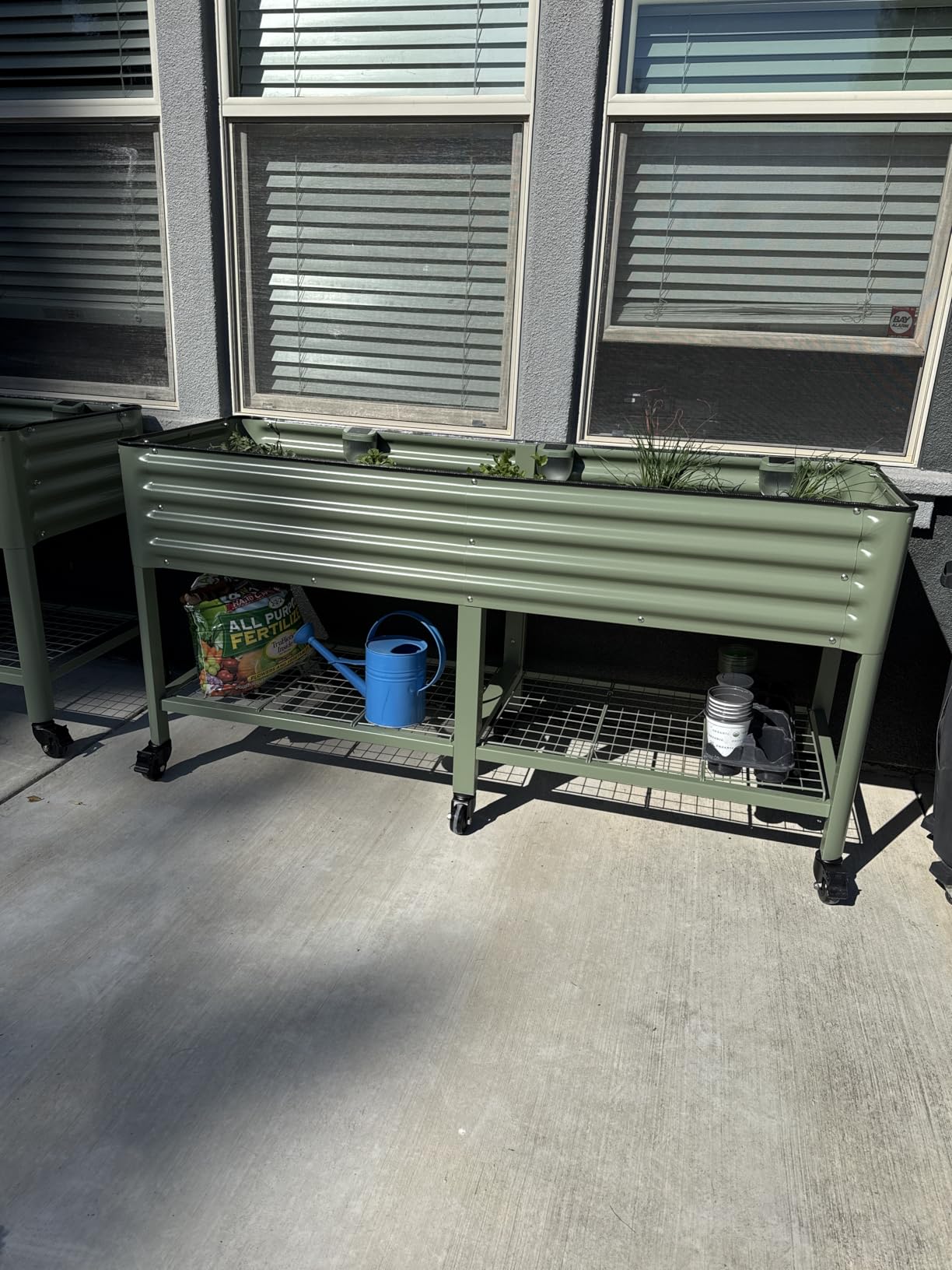 Vego Garden Rolling Elevated Raised Garden Bed-V Series, 2' x 4' Garden Beds with Legs & Storage Rack for Patio & Porch, 700 Lbs Weight Capacity, Outdoor Planter Box for Vegetables Flower Herbs, Olive Green customer photo 1