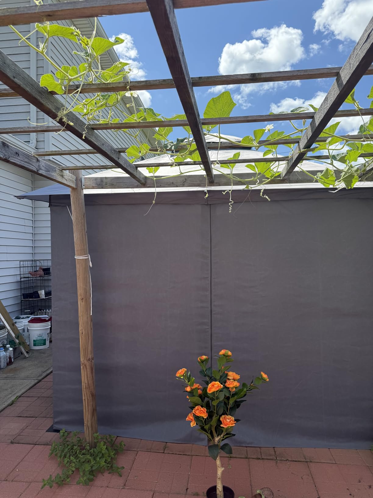 Aoxun Outdoor Gazebo for Patio 10x12, Metal Frame Canopy with Double Roofs, Heavy Duty Party Tent and Shelter with Mosquito Netting and Privacy Screen for Backyard, Lawn, Garden, Deck customer photo 2