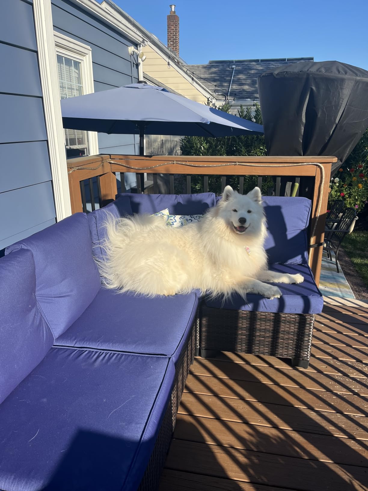 7 Piece Outdoor Patio Furniture Set, Outdoor Sectional Furniture, Rattan & Wicker Modern Modular Conversation Set Sectional Sofa W/Water Resistant Washable Thick Cushions and Coffee Table, Brown/Beige customer photo 2