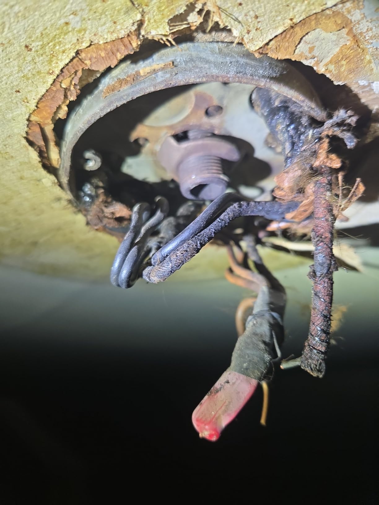 Depuley Modern Ceiling Fan with Light: 42-Inch Black Small Fans for Bedroom Indoor Outdoor - Dimmable Low Profile Ceiling Fans with Remote Control Flush Mount 5 Reversible Black Blades 6 Speeds Timer customer photo 1