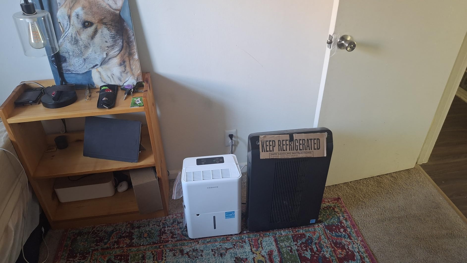 Kesnos 2,500 Sq. Ft. Energy Star 2025 Dehumidifier for Home & Basement, Ideal for Bedroom with Ultra Quiet 36 dB, 0.39-Gallon Water Tank with Drain Hose, 4 Pre-Set Modes, Auto Defrost, Timer customer photo 1