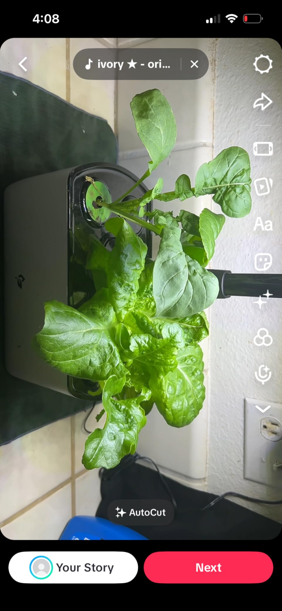 Harvest Lite in Cherry Red, Soil-Free Indoor Hydroponic Garden with LED Grow Light for Year-Round Gardening of up to 6 Herbs and Vegetables customer photo 2