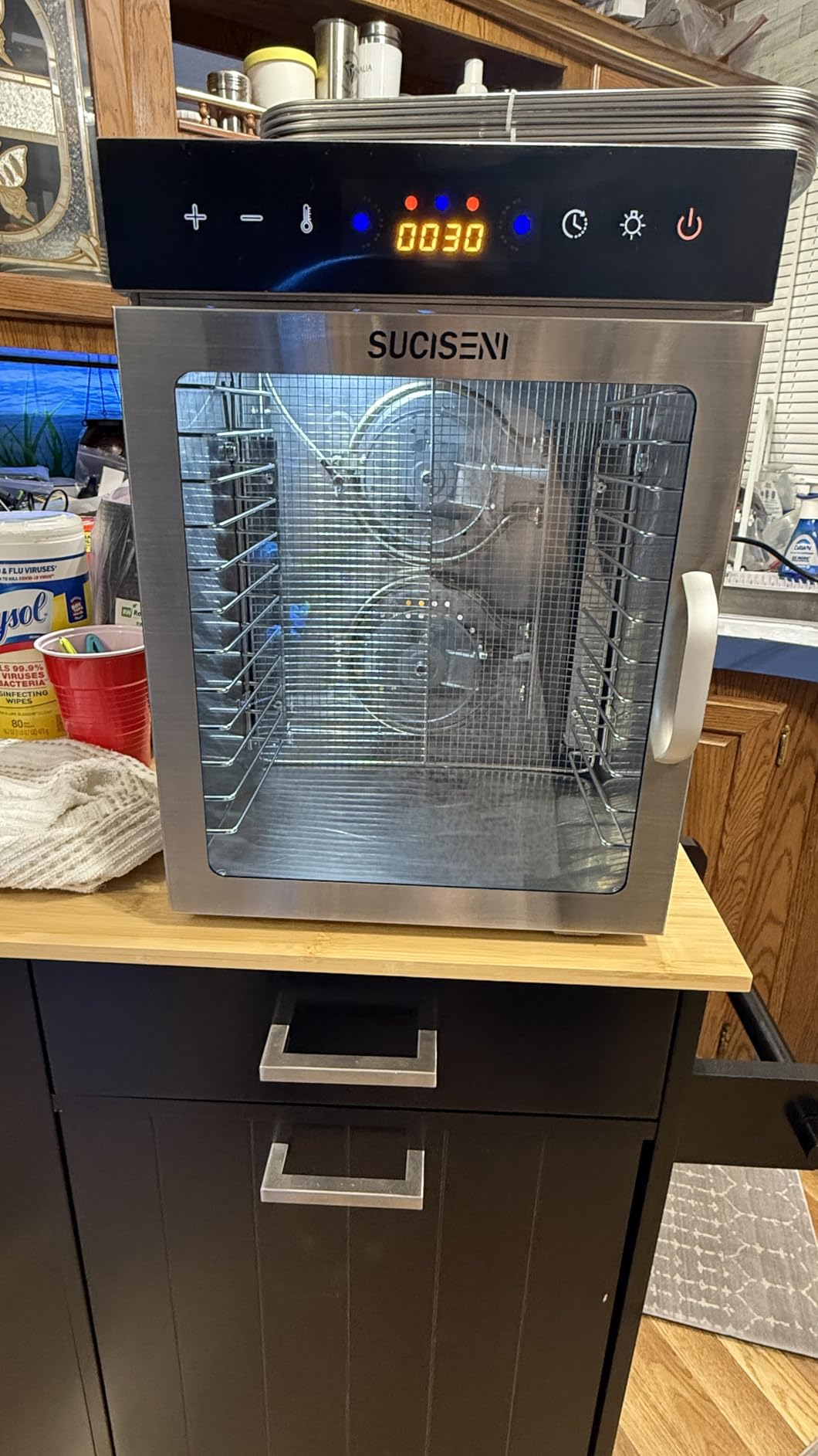 Food Dehydrator Machine 12 Stainless Steel Trays 1000W Meat Dehydrator for Home Use, 24H Timer & 195deg Temperature Control Food Dryer for Jerky Fruit Herbs Mushroom Dog Treats customer photo 1