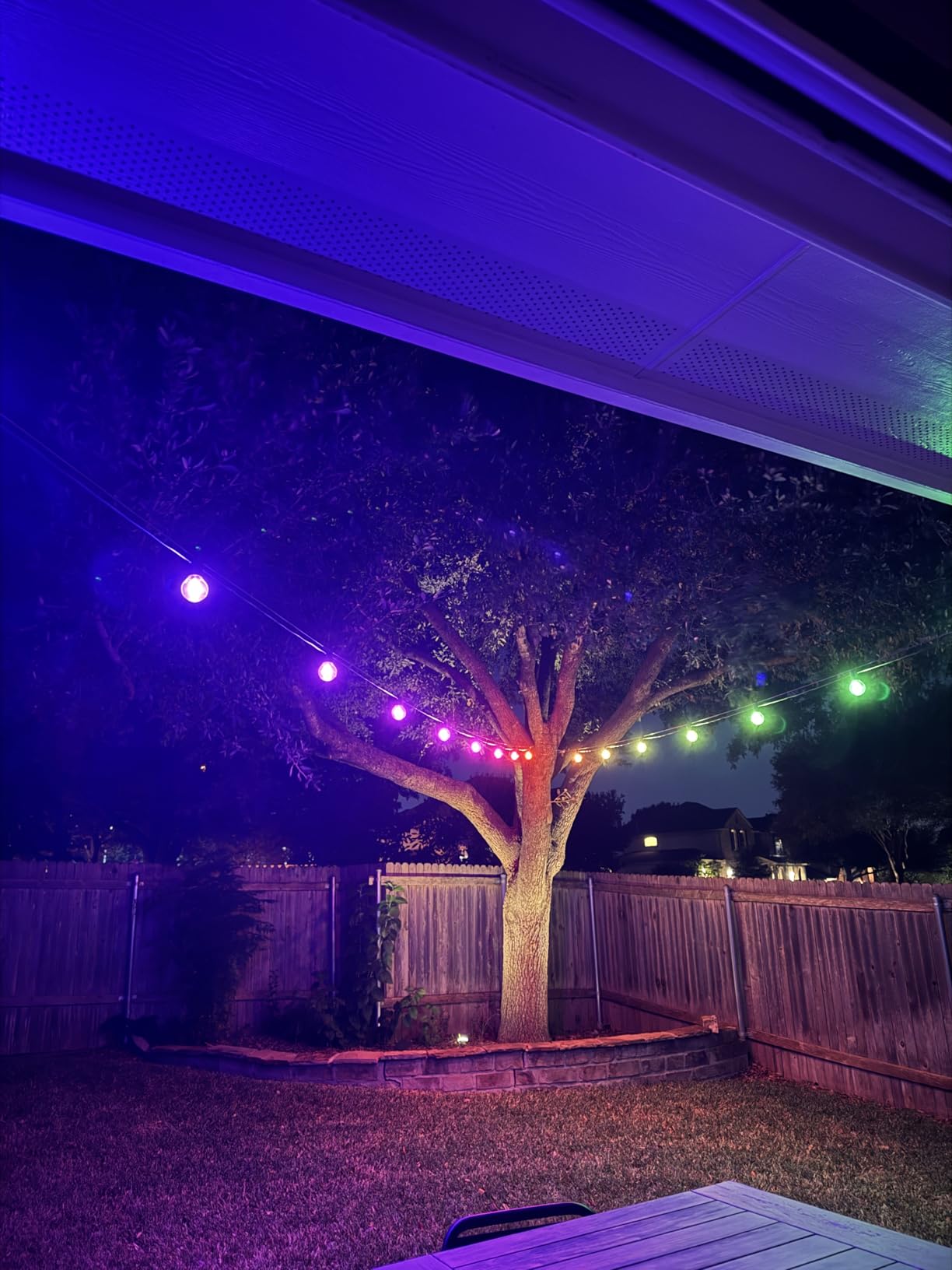 Philips Hue Festavia Globe Outdoor String Lights, White & Color Ambiance, 45ft,16 Bulbs, Dimmable, Control with Hue App or Voice, Bridge Required customer photo 1