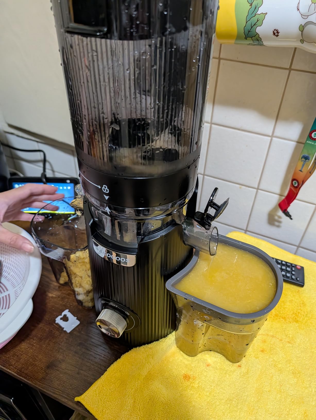 Cold Press Juicer, Auto Feed & Pre-cut, 55 RPM Slow Masticating High Juice Yield Juicer Machines, Easy to Clean, 5.3