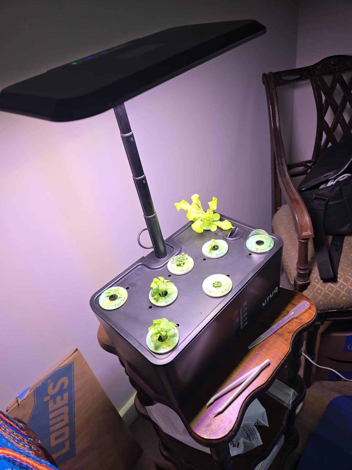 Hydroponics Growing System Garden: 8 Pods Indoor Herb Garden with Grow Light Plants Germination Kit Quiet Automatic Hydroponic Height Adjustable - Gardening Gifts for Women Kitchen customer photo 2
