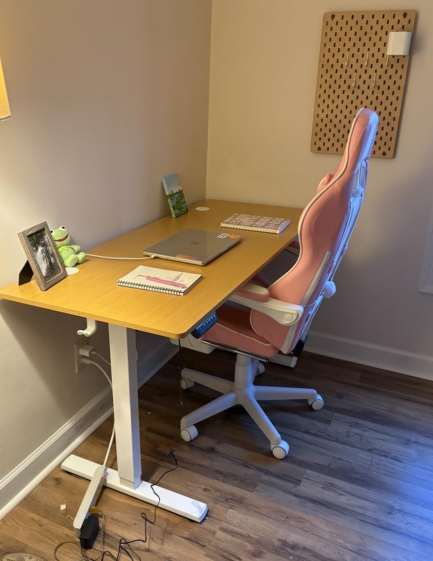 DUMOS 40 Inch Electric Standing Desk Height Adjustable, Sit to Stand Up Computer Workstations Work PC Table Home Office Study Writing Gaming Desks with Memory Presets for Walking Pad, Bedroom, Rustic customer photo 1