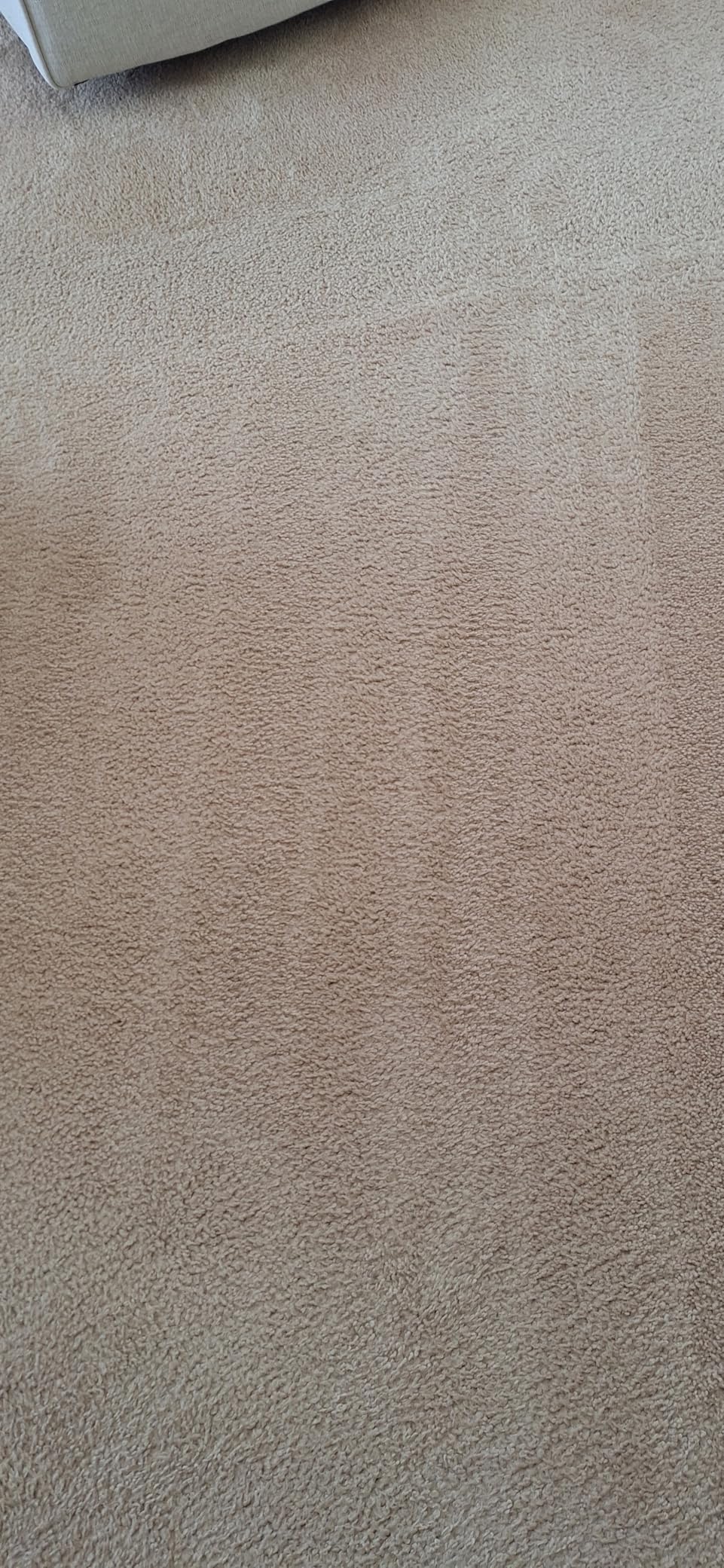 eufy C10 Robot Vacuum Self Emptying, 8 Weeks Hands Free, Advanced Smart Mapping with LiDAR Navigation, 2.85-Inch Slim Design, Powerful Suction, Edge Expansion Brush for Pet Hair, Carpet Detection customer photo 2