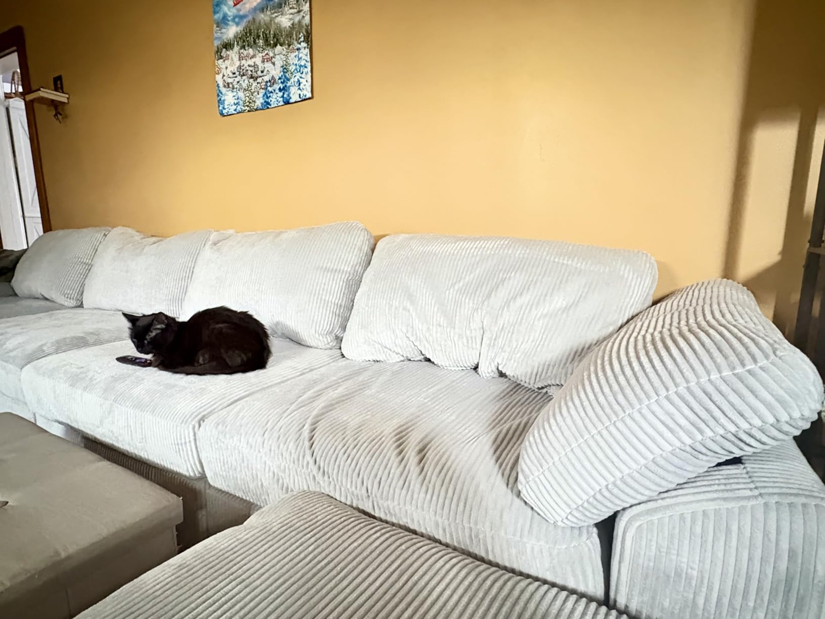 EASE MOOSE Oversized L Shape Sectional Modular Sofa,Wide Deep seat Sectional Sofa,FSC Certified Comfortable Chenille Grey Cloud Modular Sofa customer photo 2