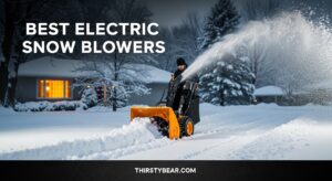 Best Electric Snow Blowers