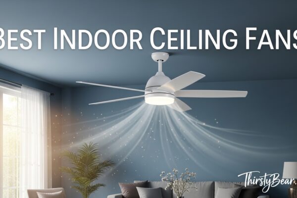 Best Indoor Ceiling Fans